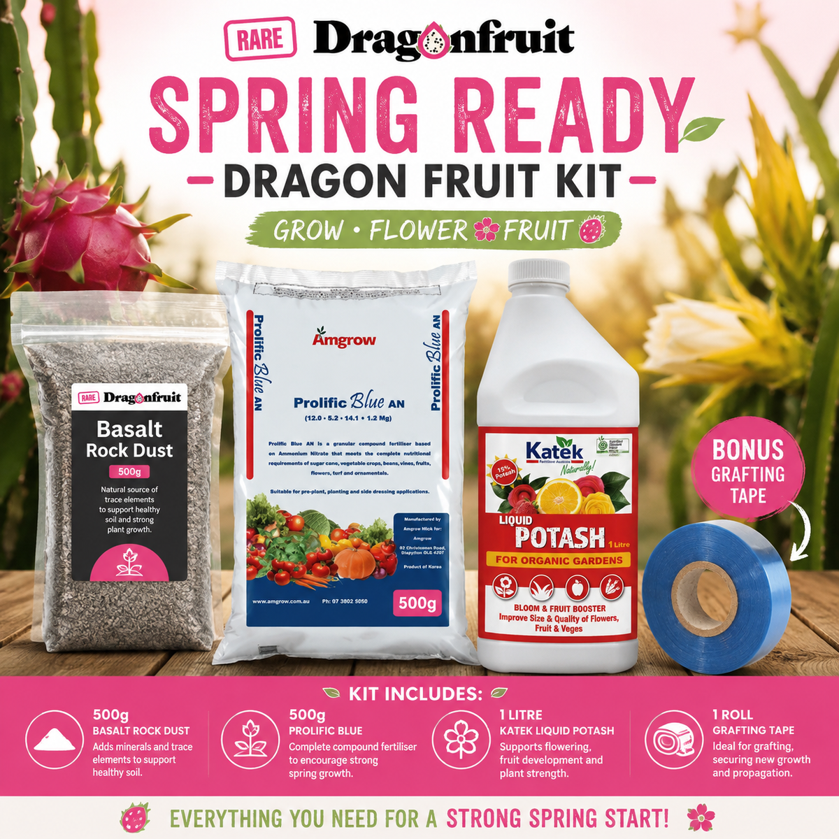 Spring Ready Dragon Fruit Food Kit