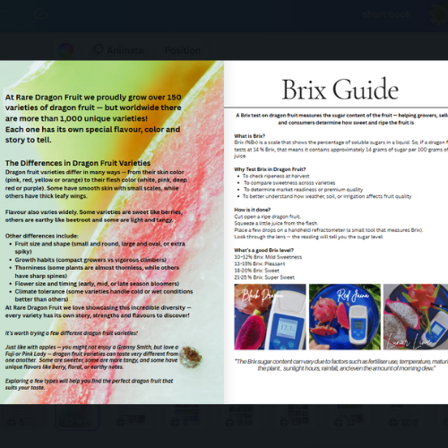 How to Grow Dragon Fruit Magazine - A Step-by-Step Handbook