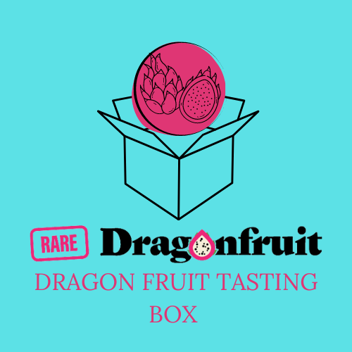 Dragon Fruit Tasting Box - Rare Dragon Fruit