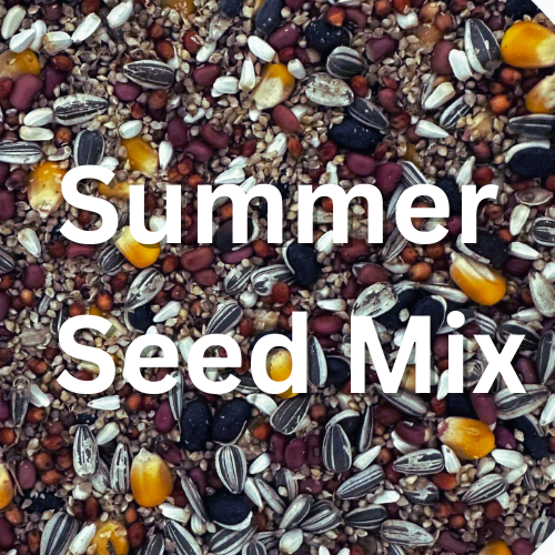 Companion Species Summer Seed Mix 250G