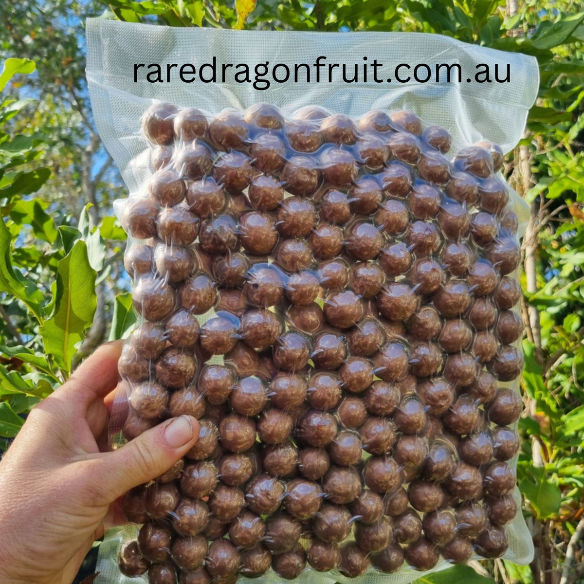 Nut In Shell Bag (1kg)
