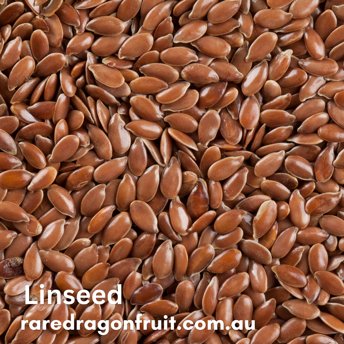 Linseed 10g
