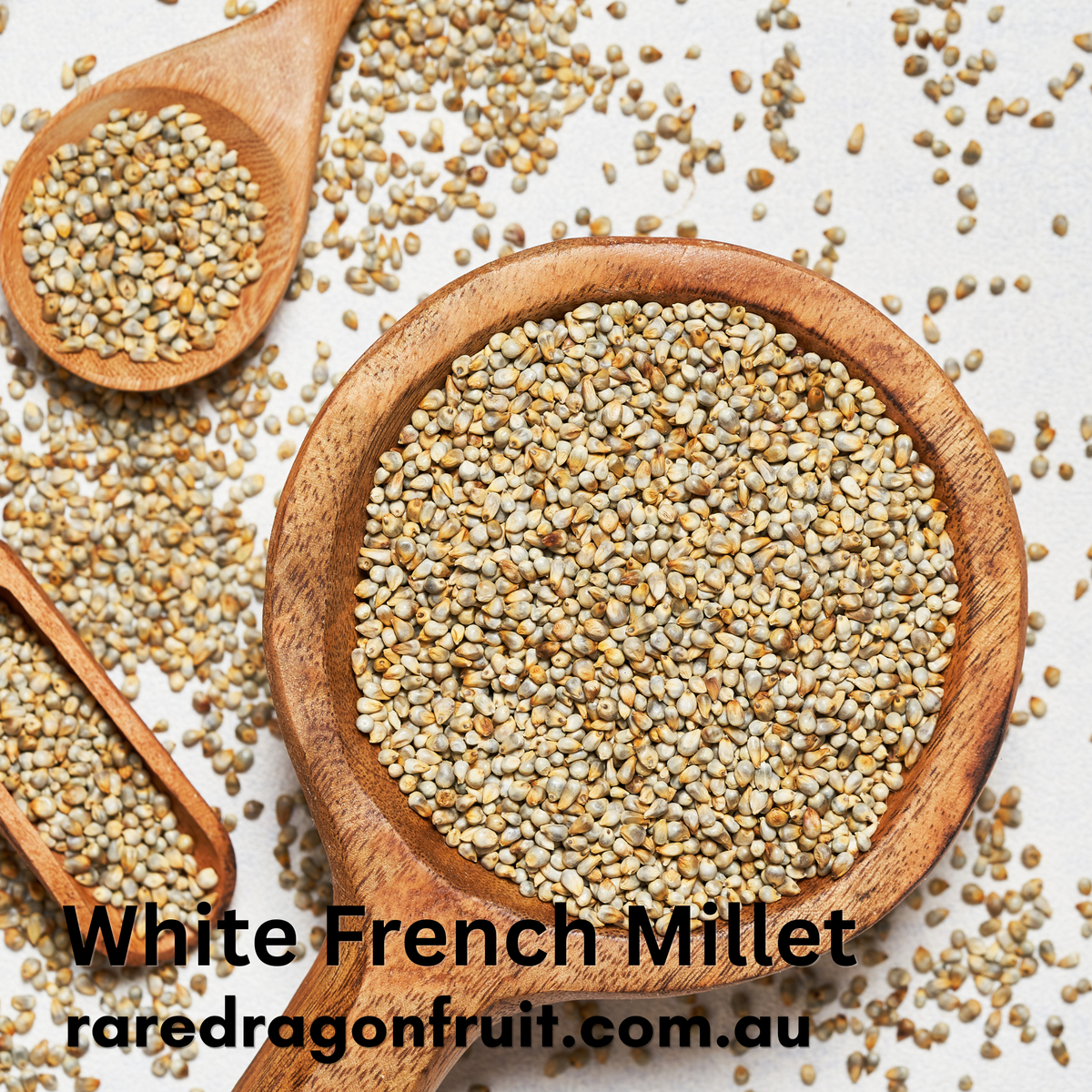 White French Millet 10g