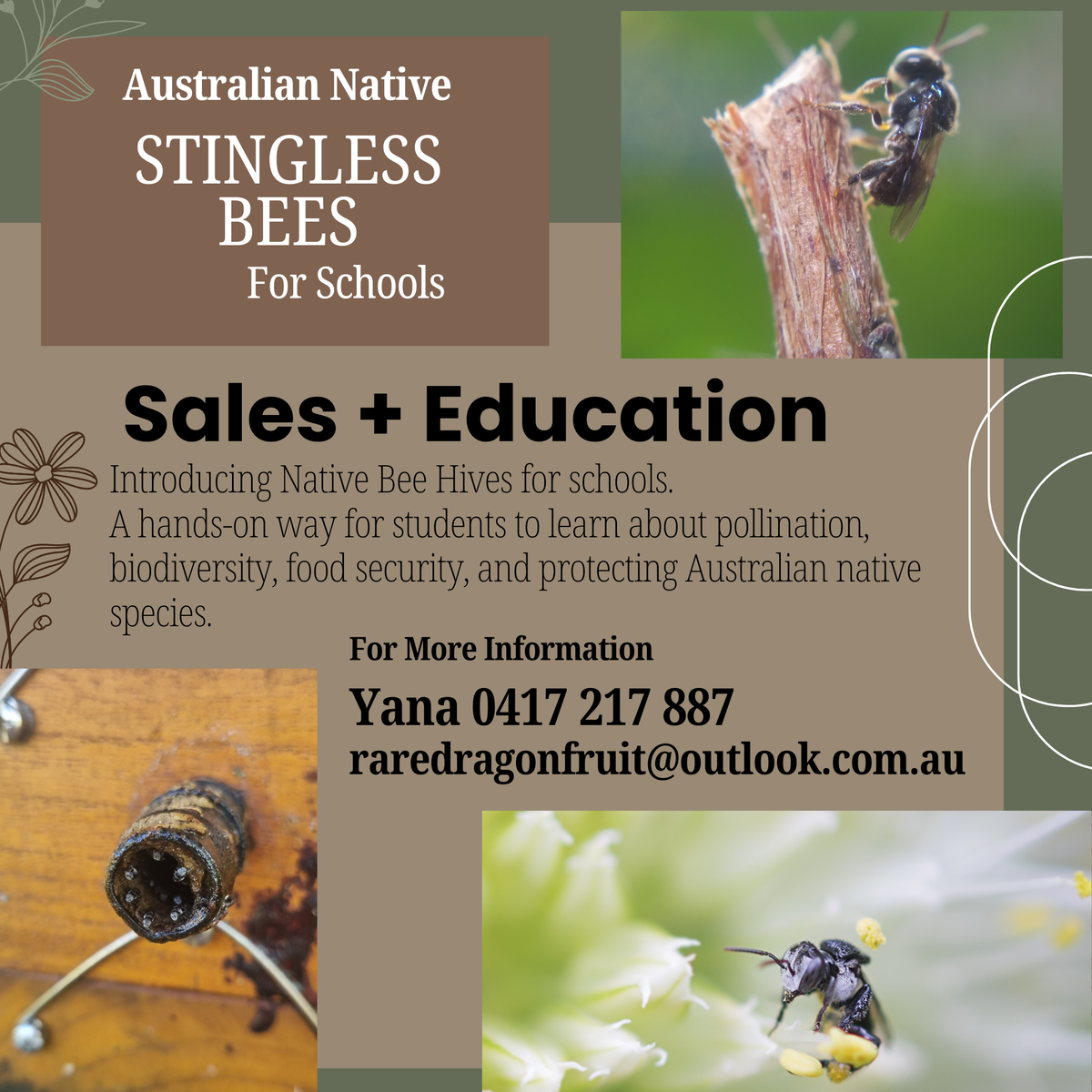 Native Bee Hives for Schools