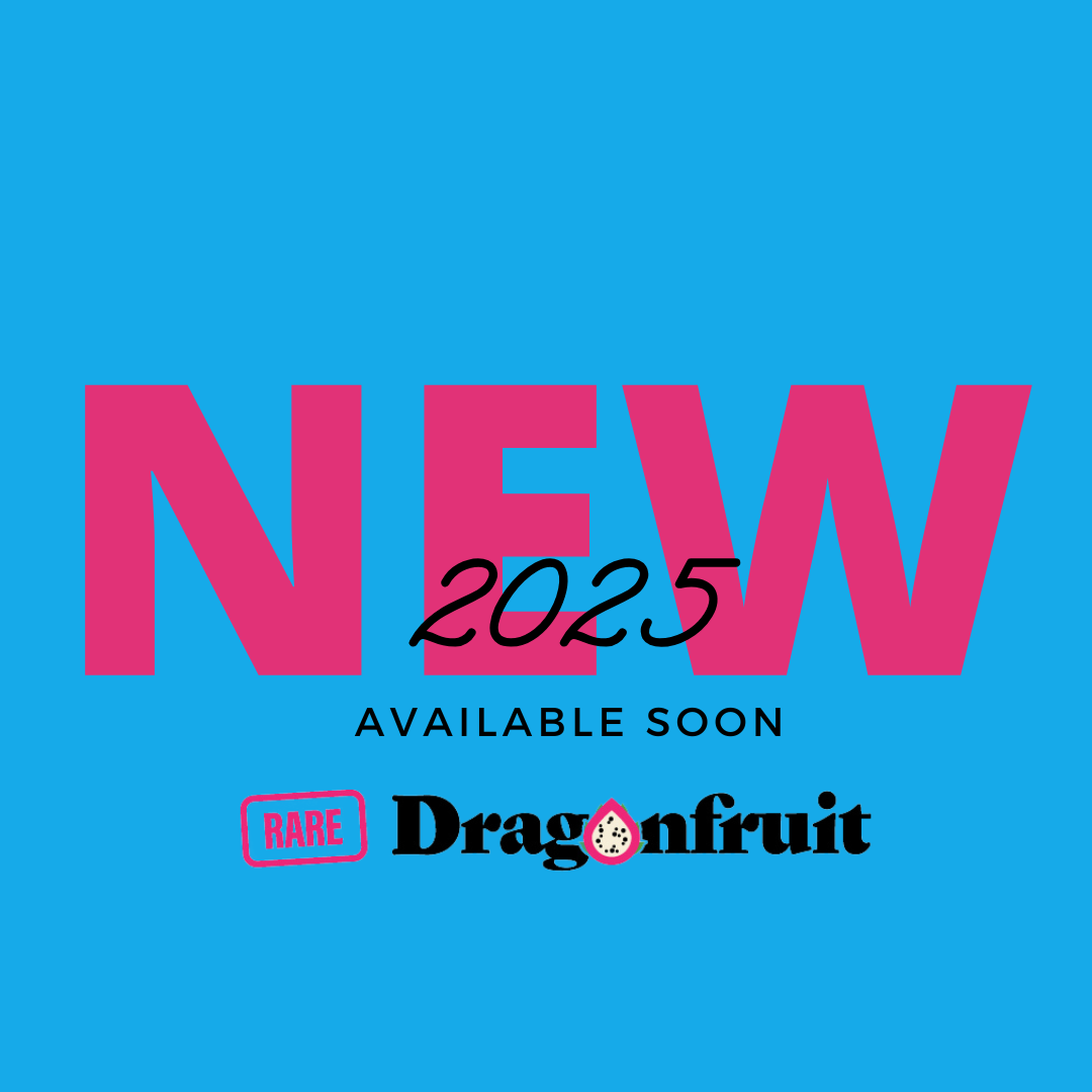 CFA Dragon Pearl Dragon Fruit Plant