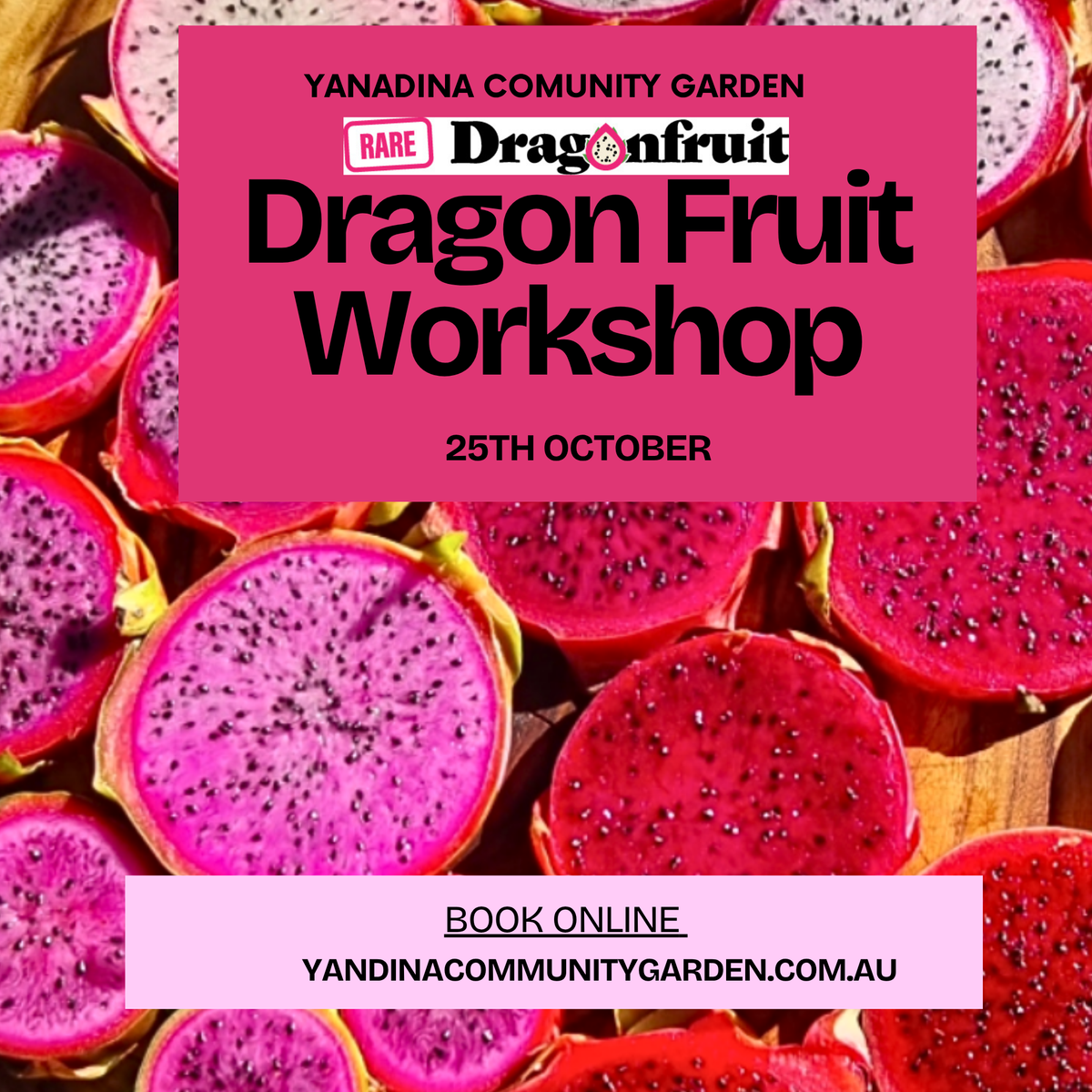 Winter Community Gardens Workshop