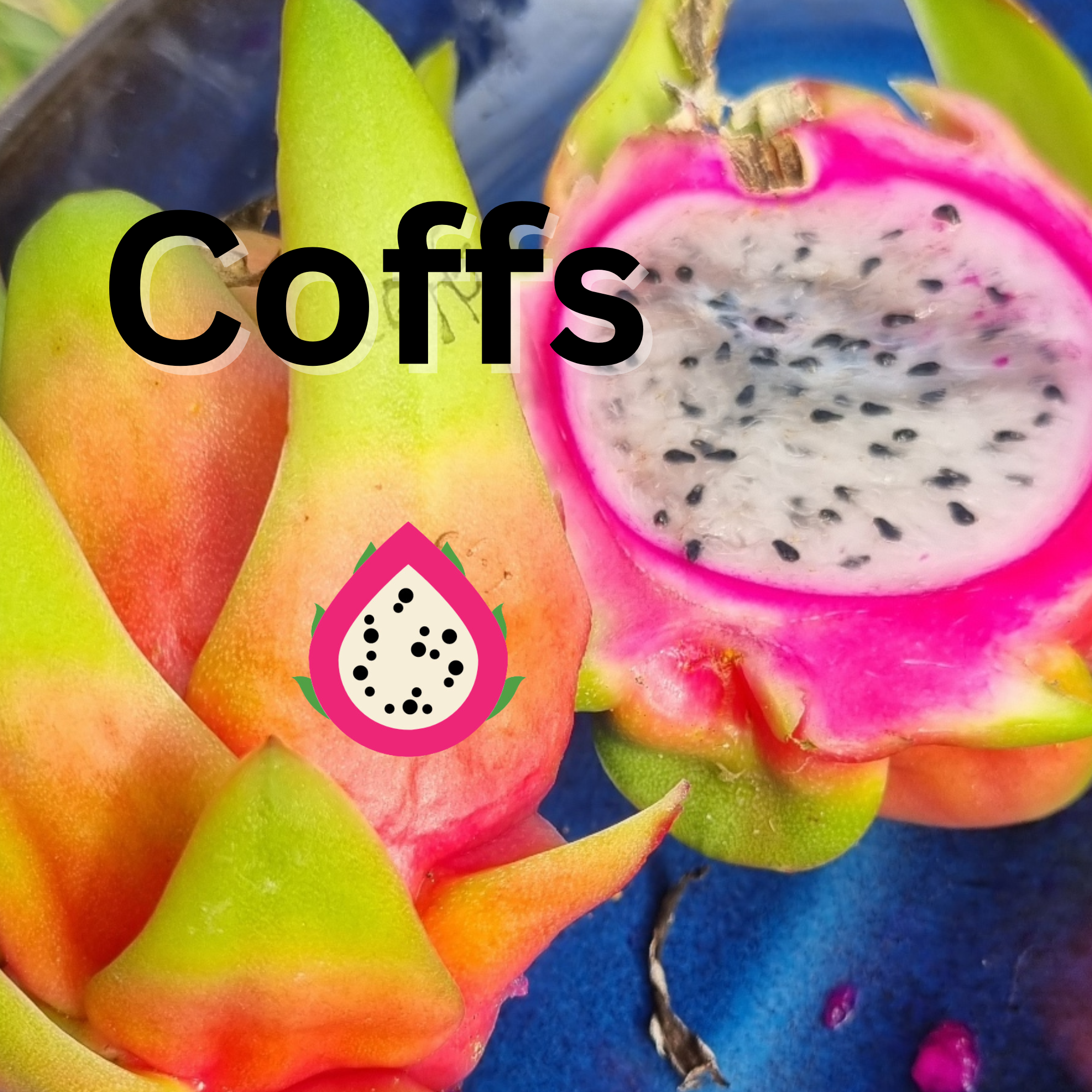 Coffs NOID Dragon Fruit - Rare Dragon Fruit