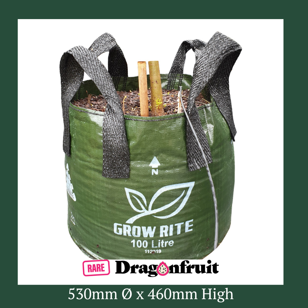 Woven Plastic Plant Grow  Bag with 4 Handles, 100L