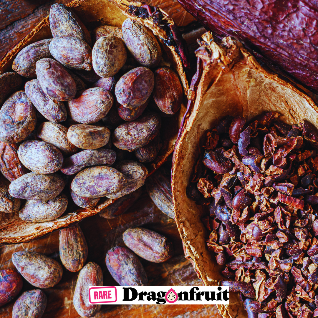 Cocoa Plant- Grow your own chocolate