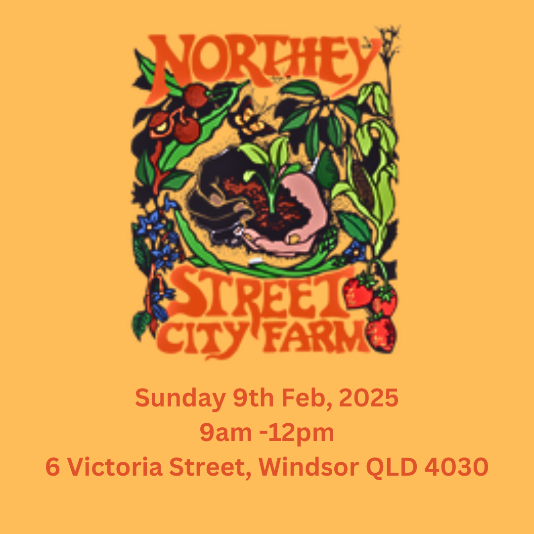 Dragon fruit Growing workshop Northey Street City Farm