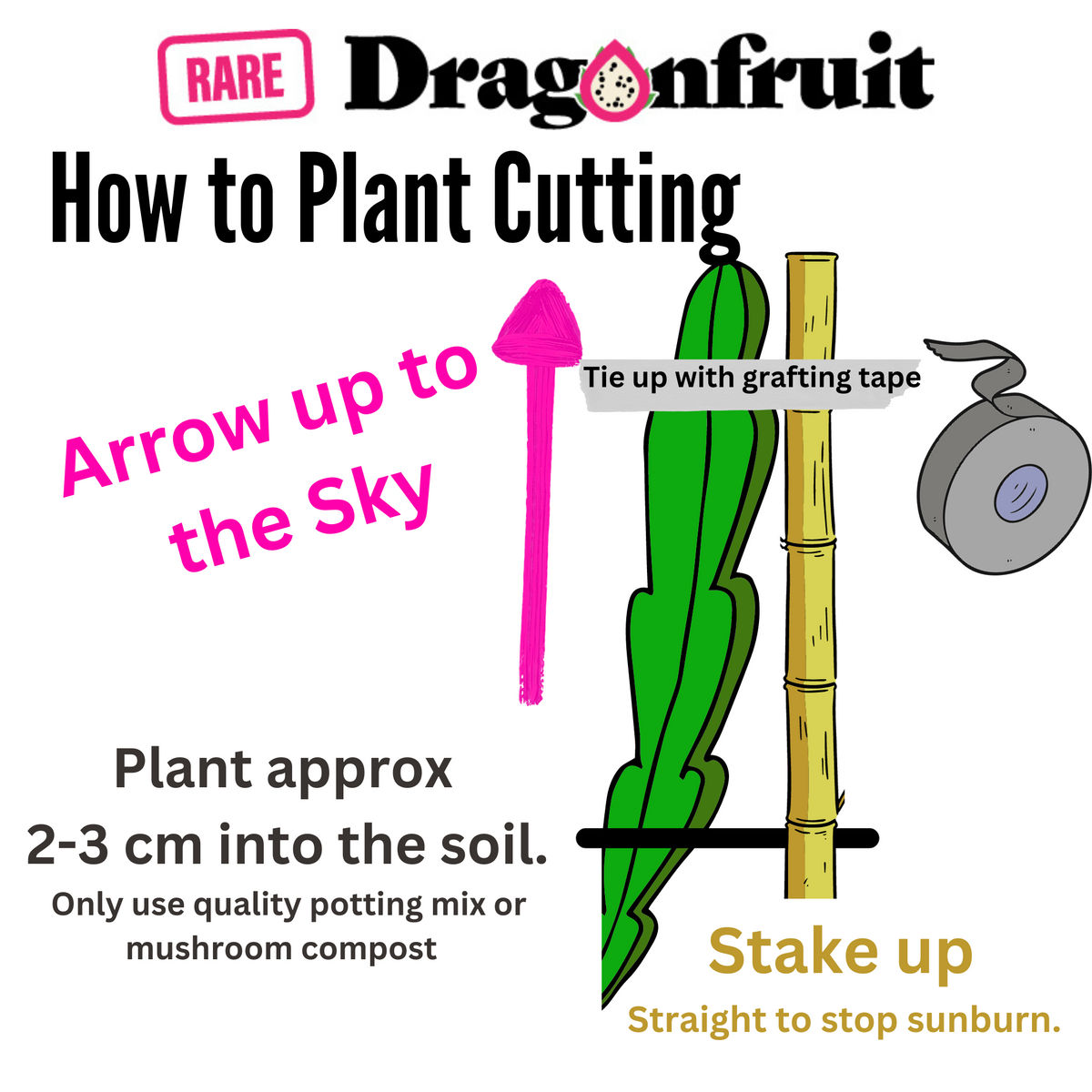 Randomly Selected Dragon Fruit Cutting - Rare Dragon Fruit