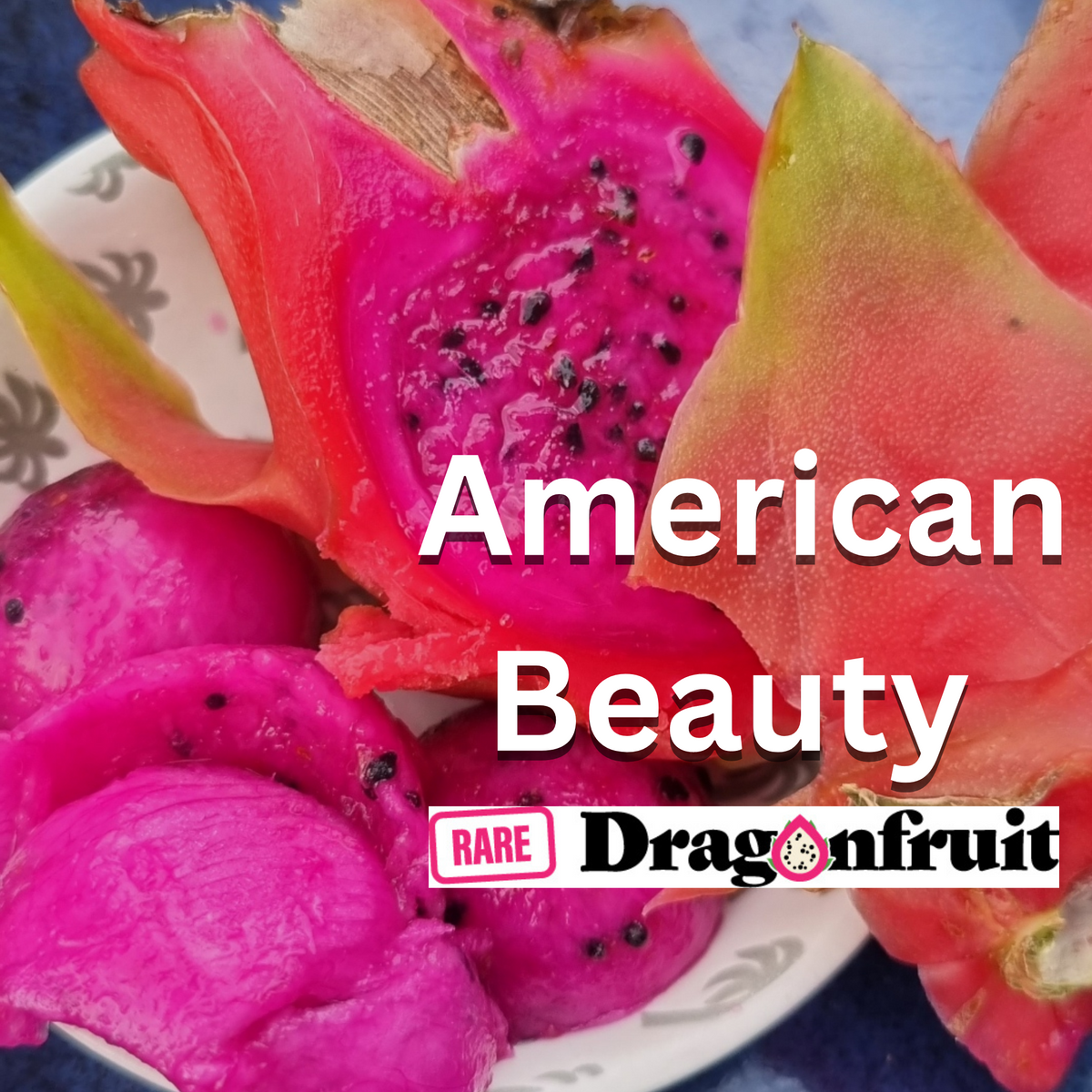 American Beauty- H. guatemalensis X H. Undatus USA Dragon Fruit Plant - Rare Dragon Fruit