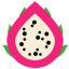 Dragon Fruit logo