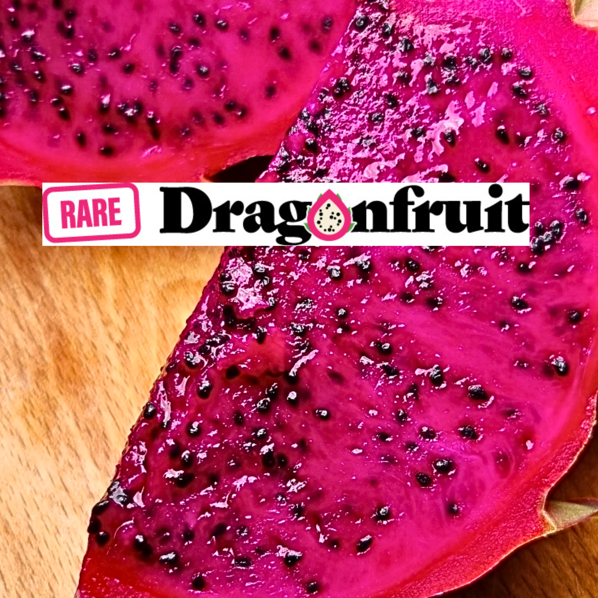 Hybrid of Rainbow Dragon Fruit -H. Undatus hybrid Thailand and the Philippines - Rare Dragon Fruit