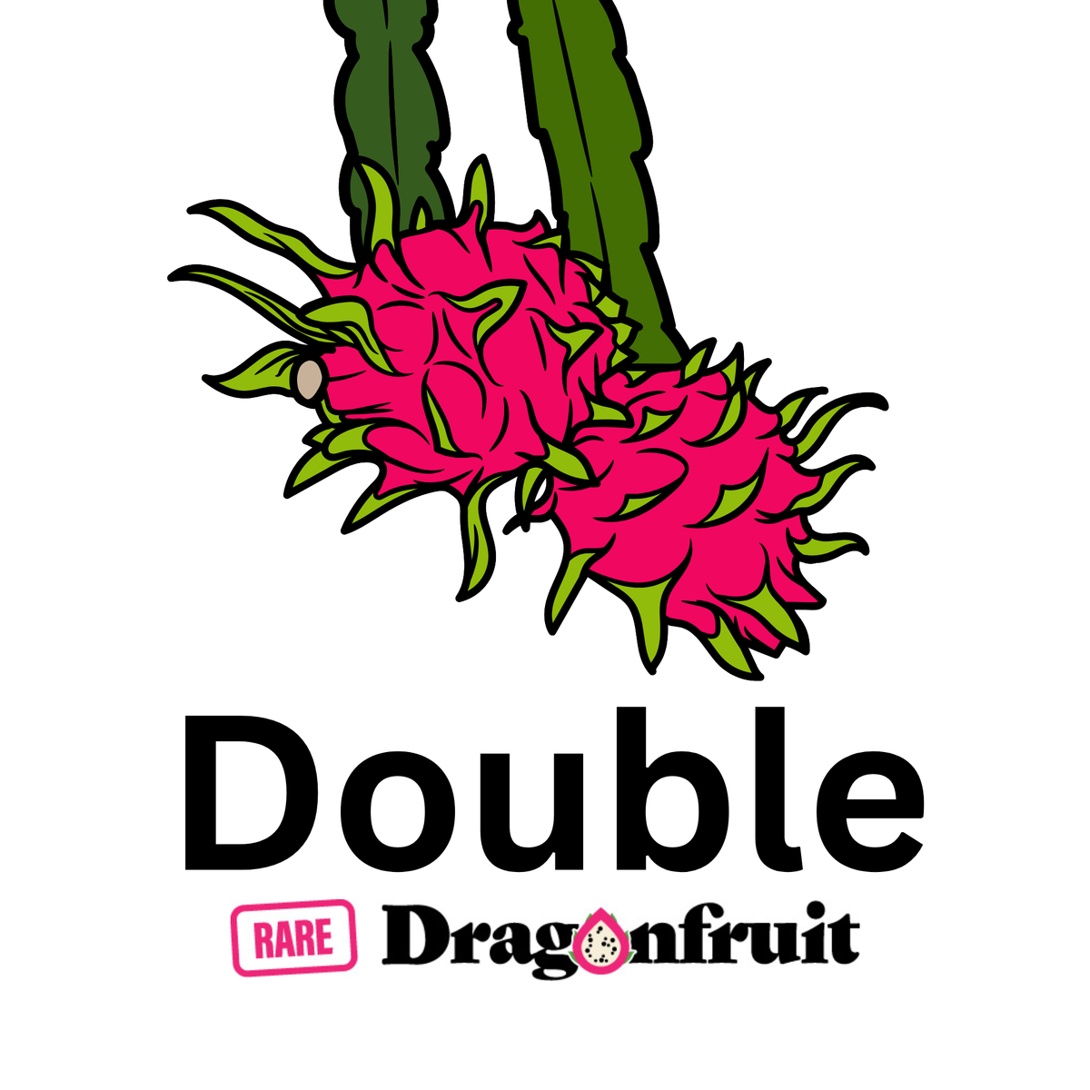 2026 How to Grow Dragon Fruit On Farm Workshops