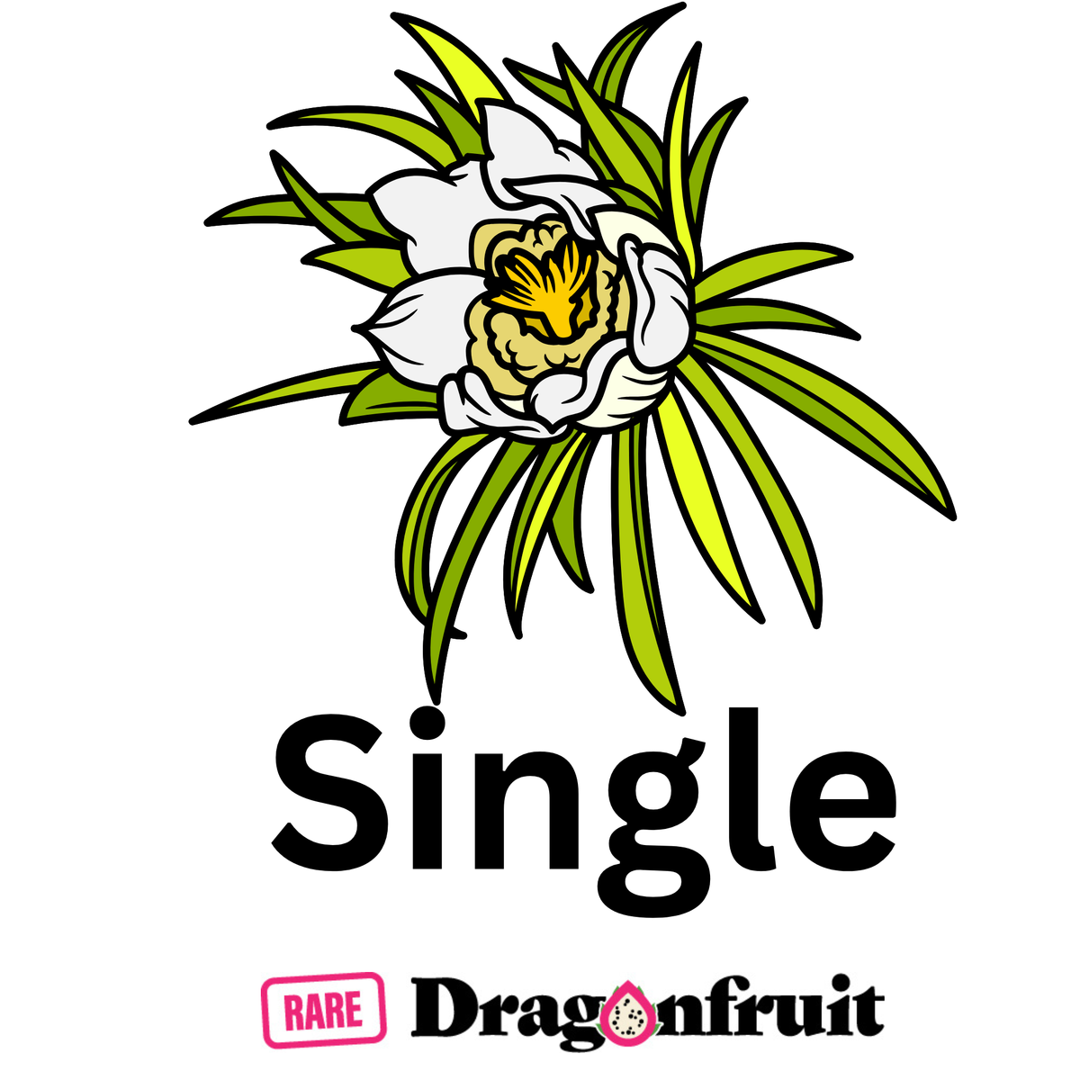 2026 How to Grow Dragon Fruit On Farm Workshops