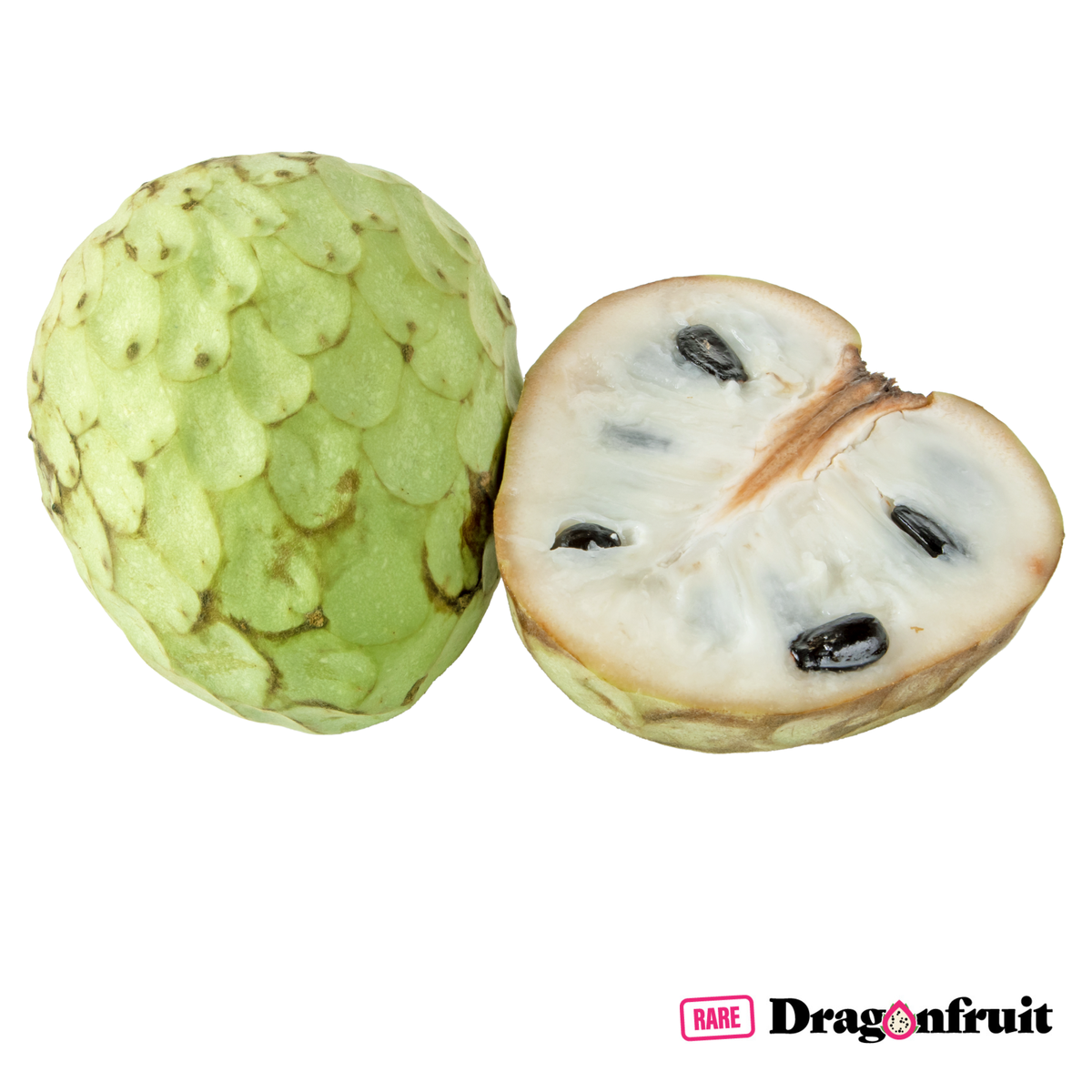 Cherimoya - Fino de Jete - Smooth Skinned Custard Apple