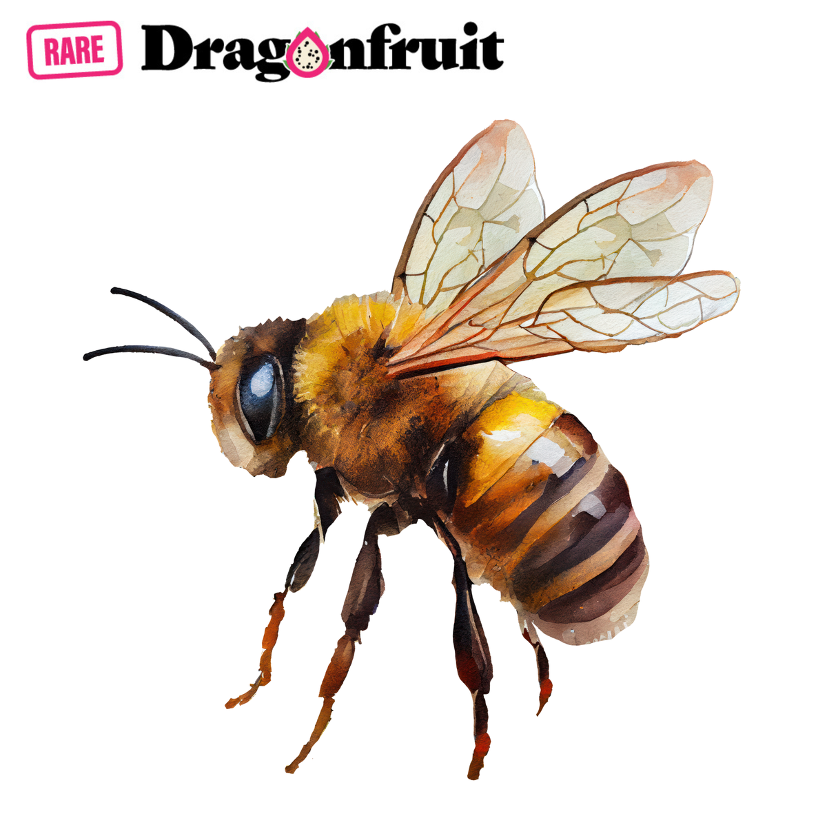 WORKSHOP 1: BEEKEEPING BASICS