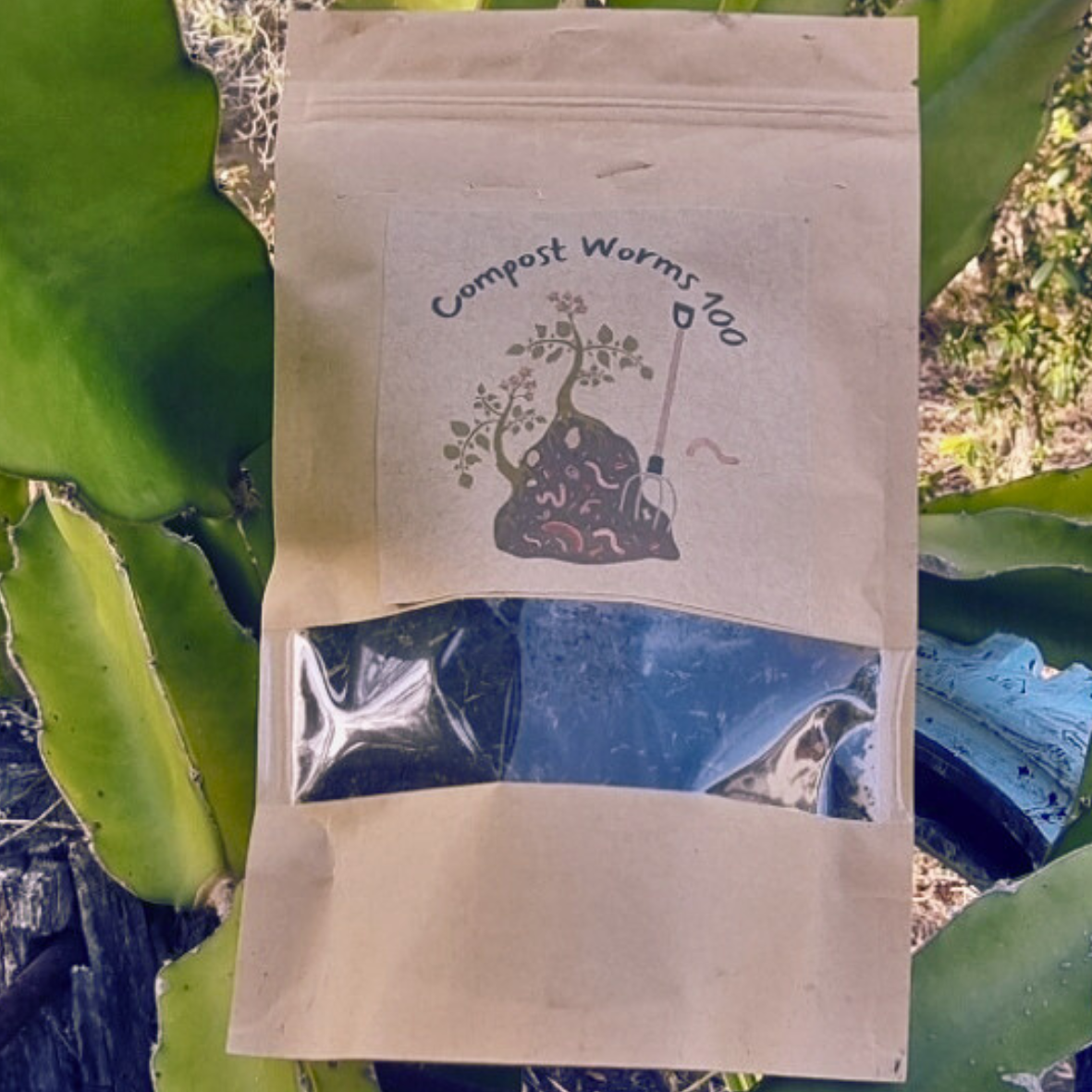Compost worms x 100