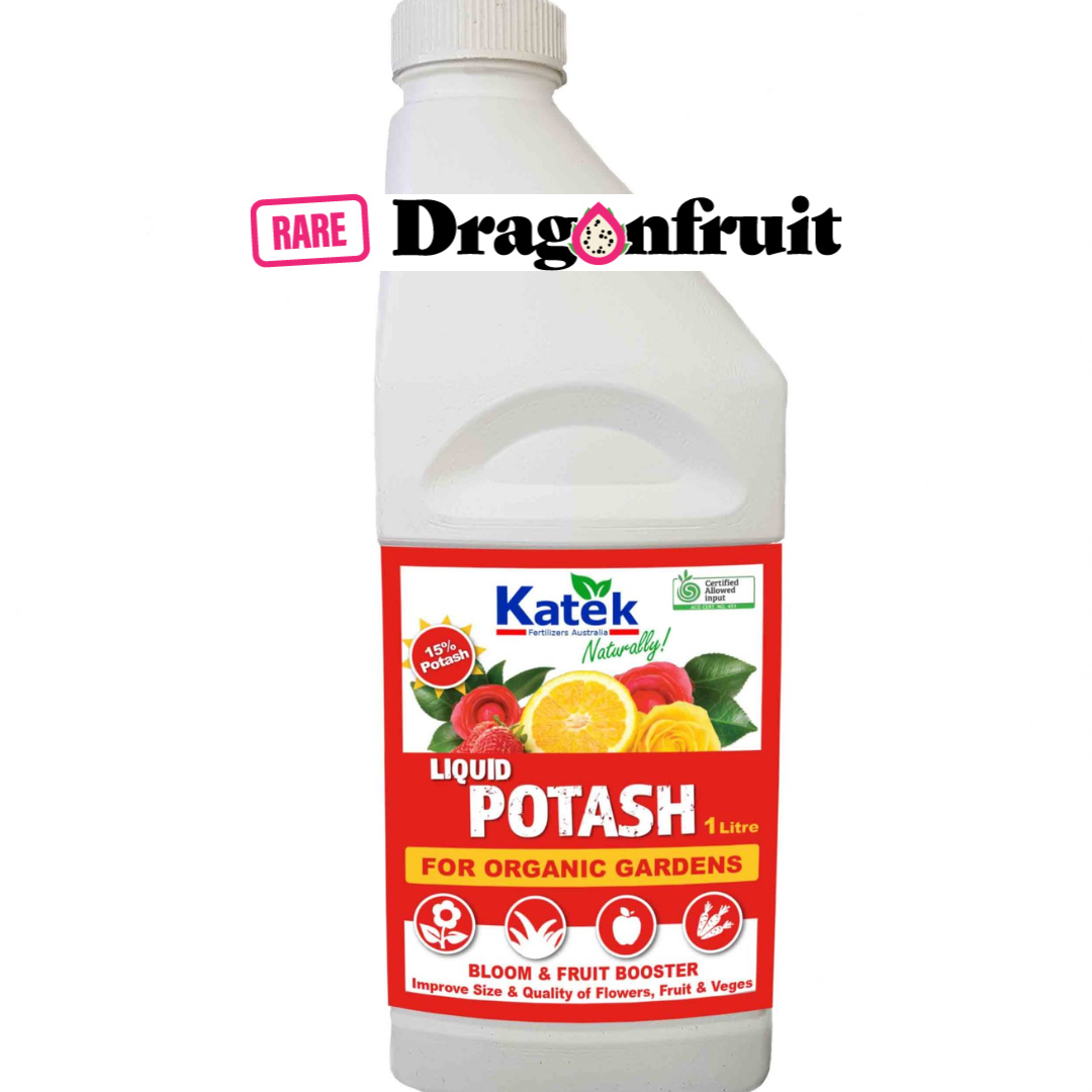 Organic Liquid Potash 1L- How to get more Dragon Fruit Flowers