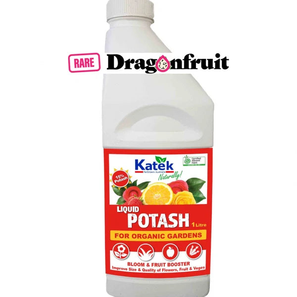 Spring Ready Dragon Fruit Food Kit