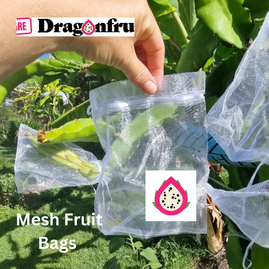 Dragon Fruit Protection Bags