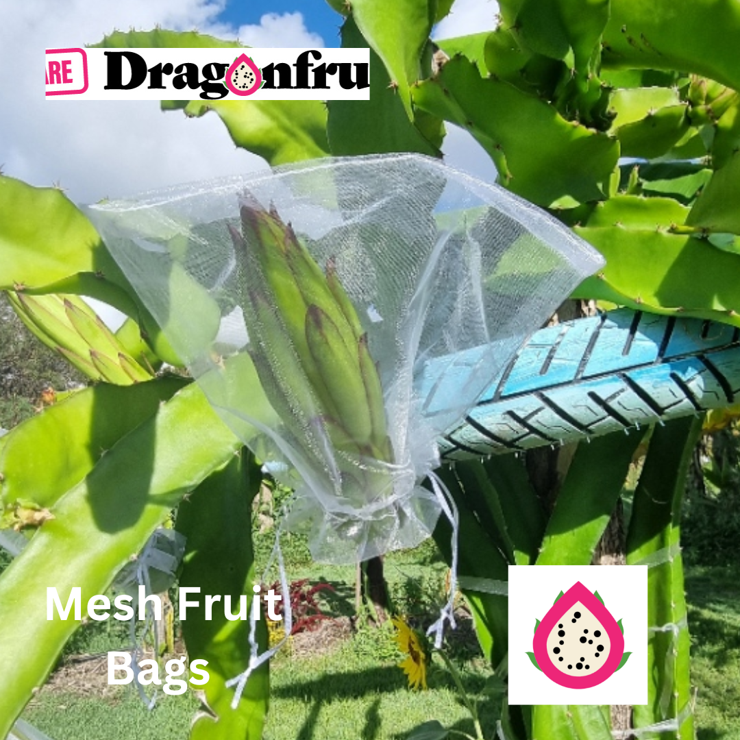 Dragon Fruit Protection Bags