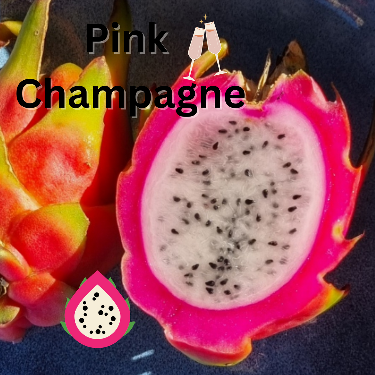 Pink Champagne Dragon fruit - Rare Dragon Fruit