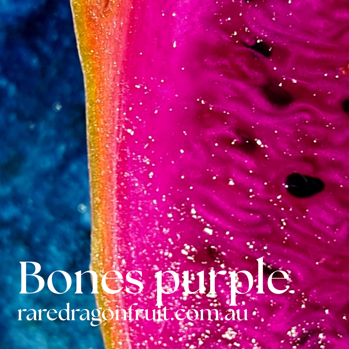 Bones Purple Dragon Fruit