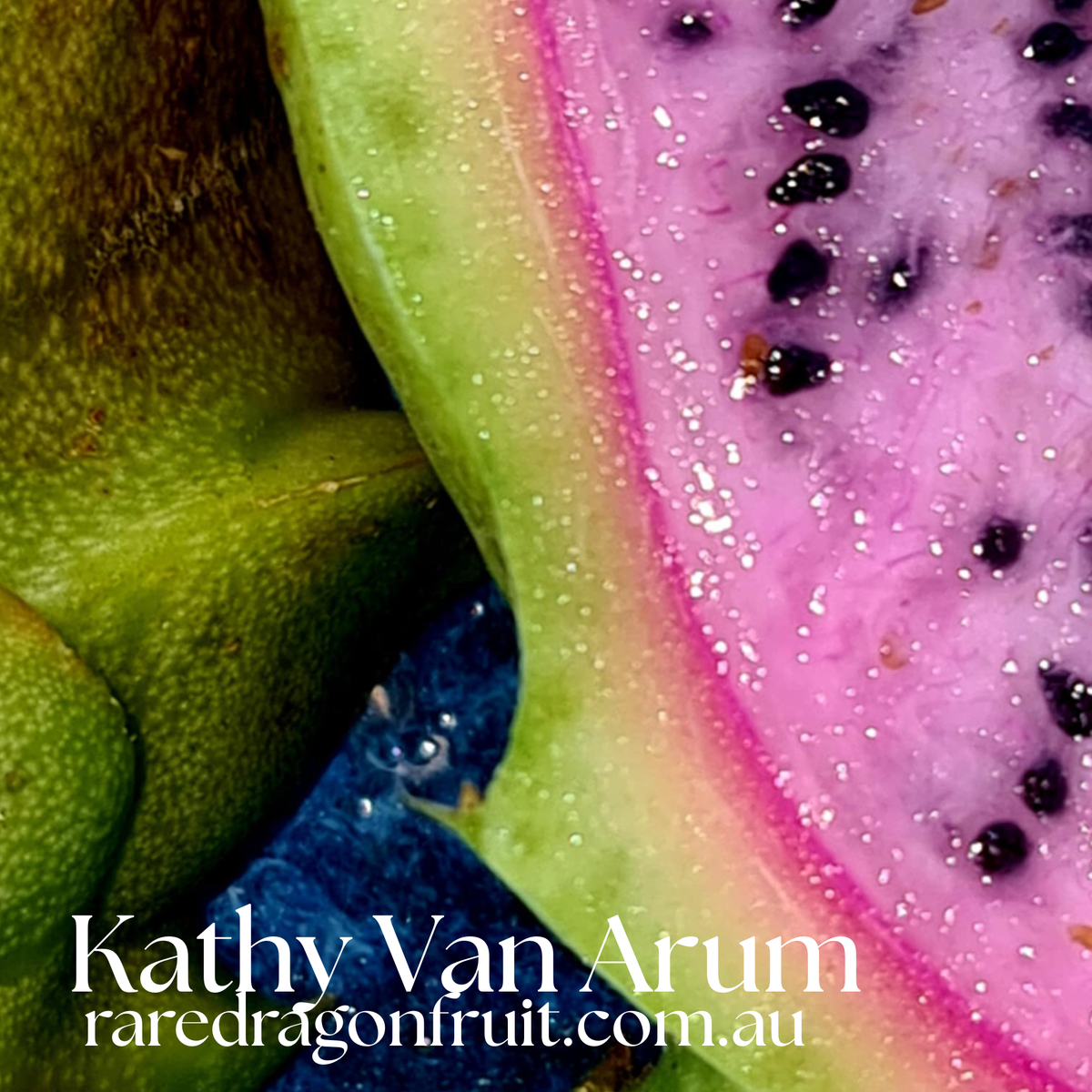 Kathy Van Arum Dragon Fruit