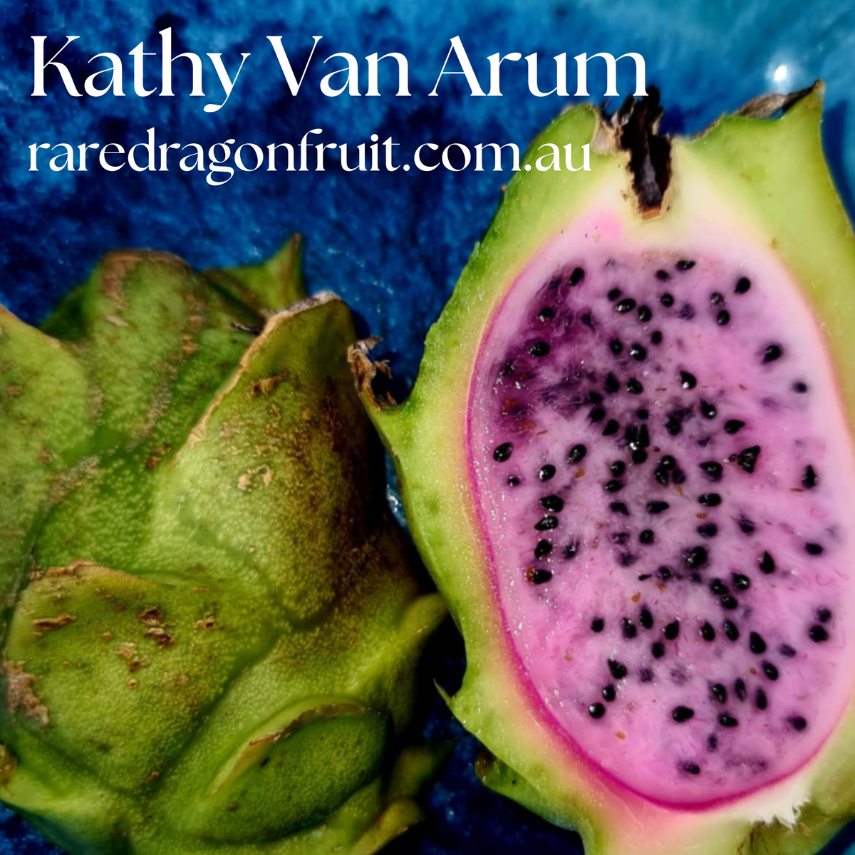 Kathy Van Arum Dragon Fruit