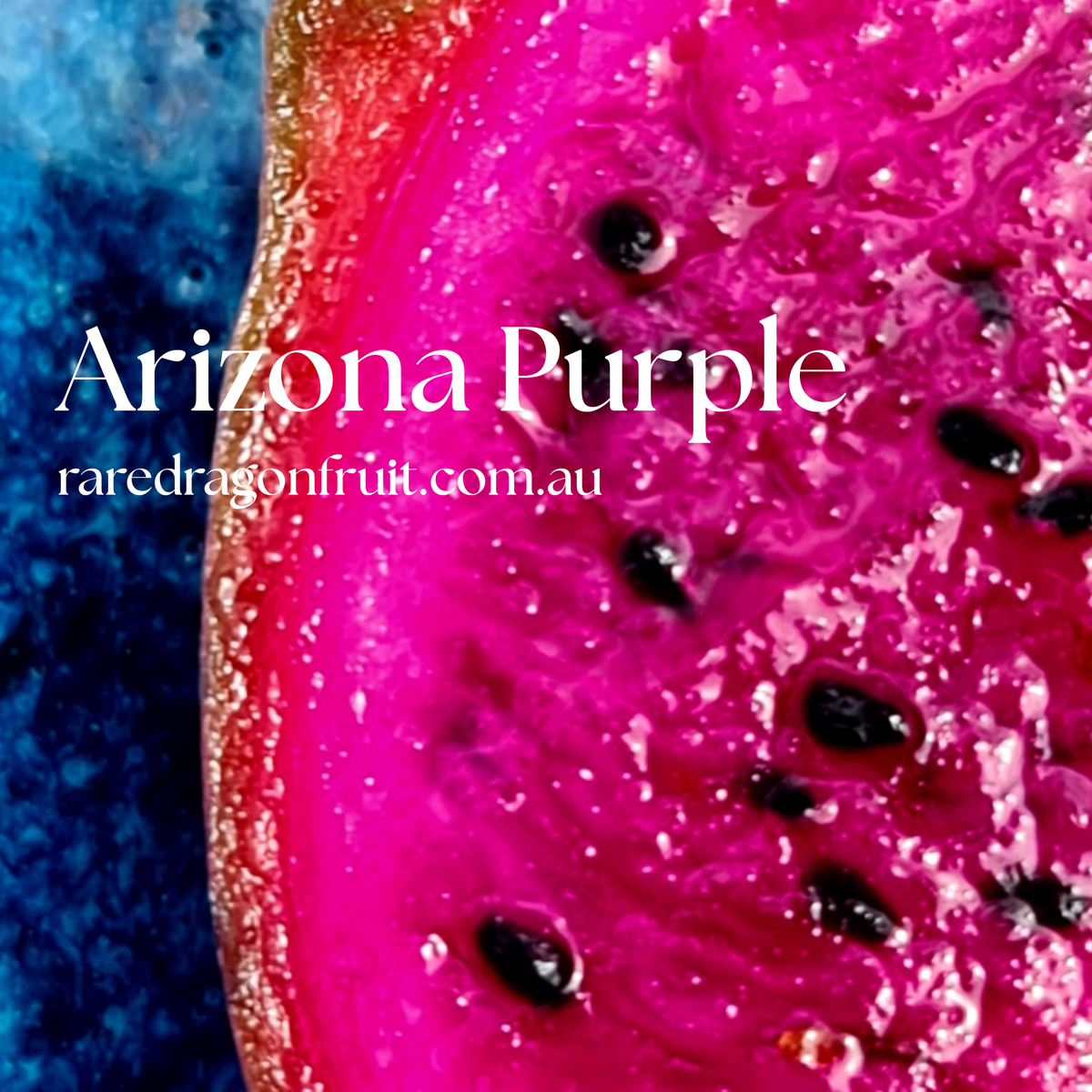 Arizona Purple Dragon Fruit