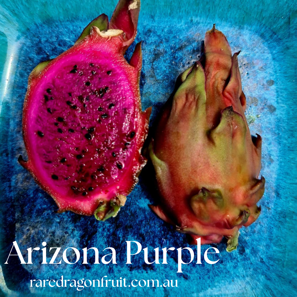 Arizona Purple Dragon Fruit