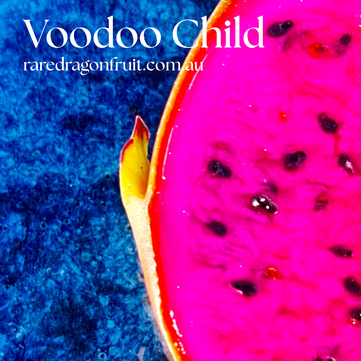 Voodoo Child Dragon Fruit