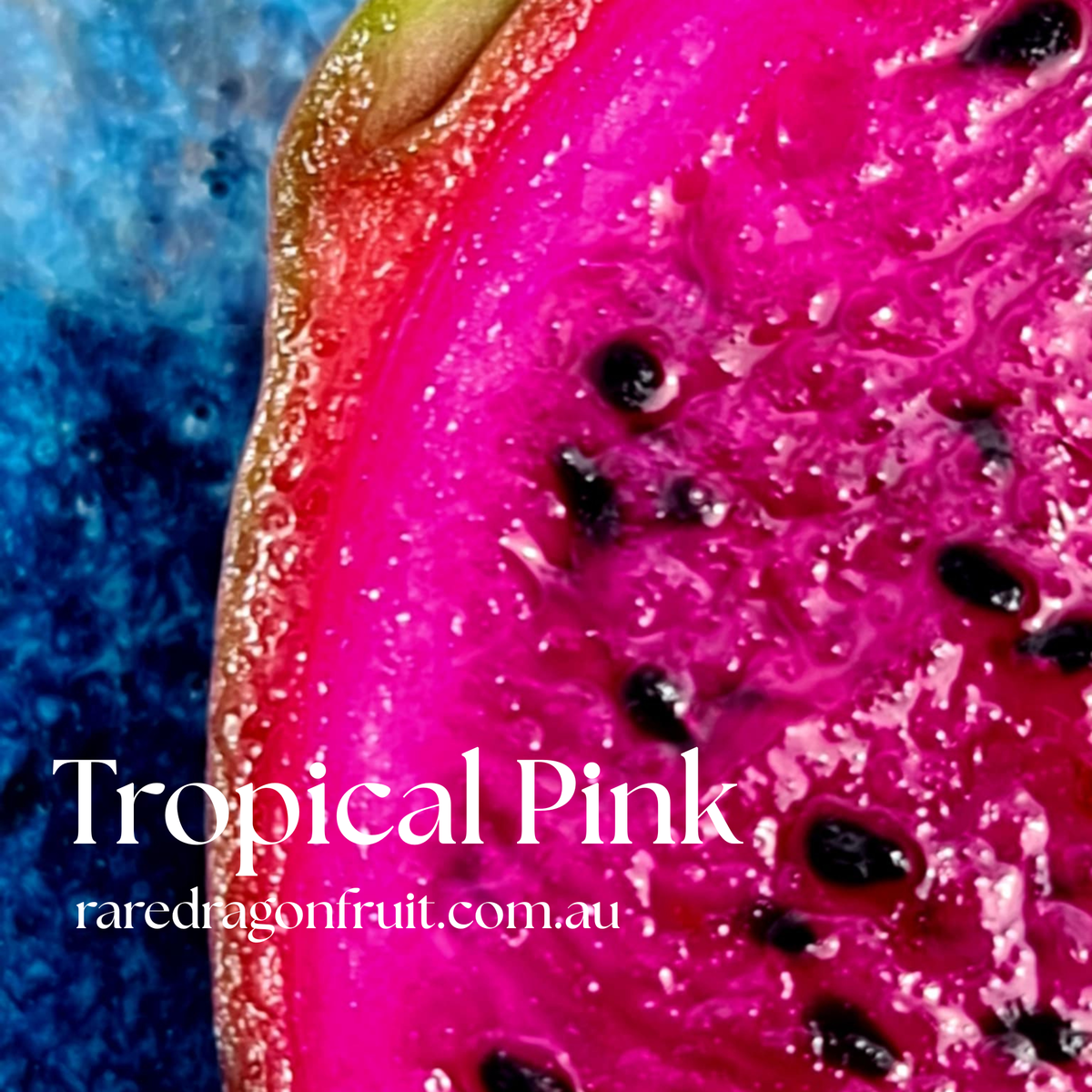Tropical Pink Dragon Fruit