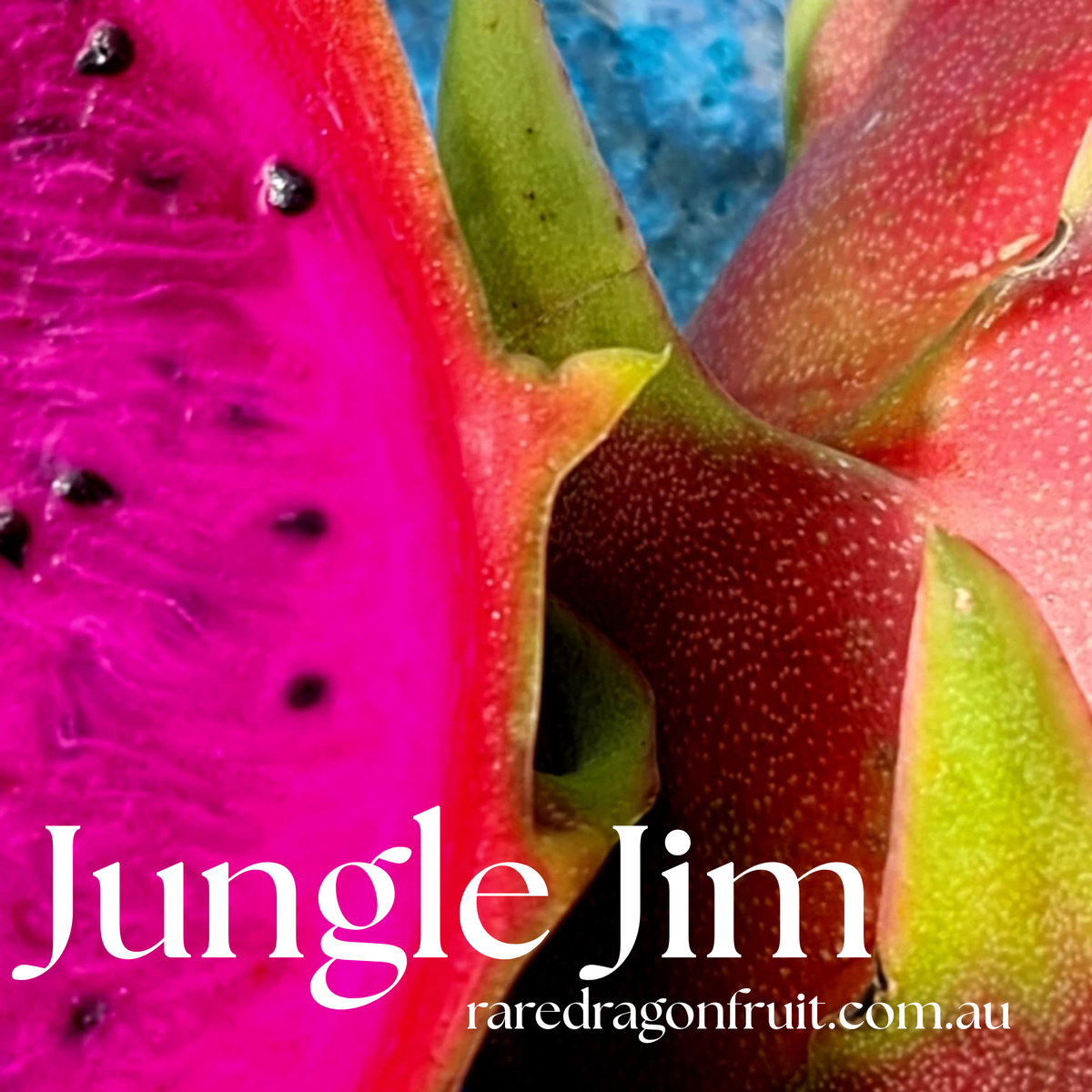 Jungle Jim Dragon Fruit