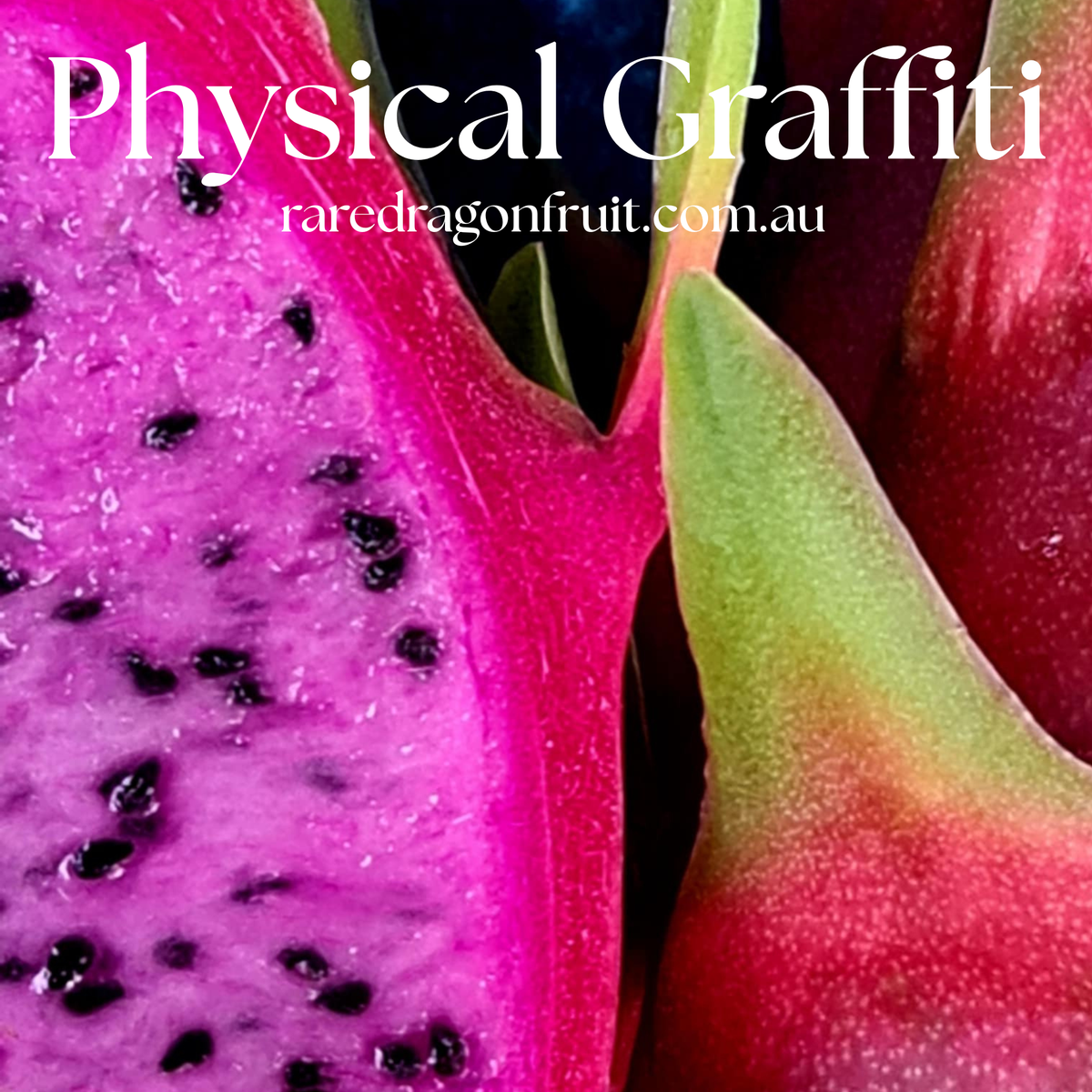 Physical Graffiti Dragon Fruit