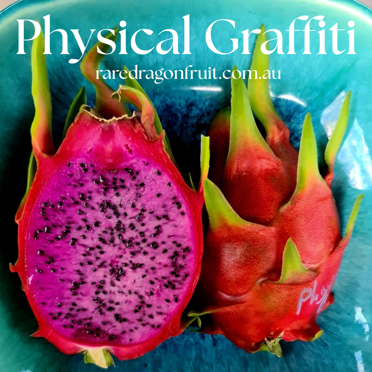 Physical Graffiti Dragon Fruit
