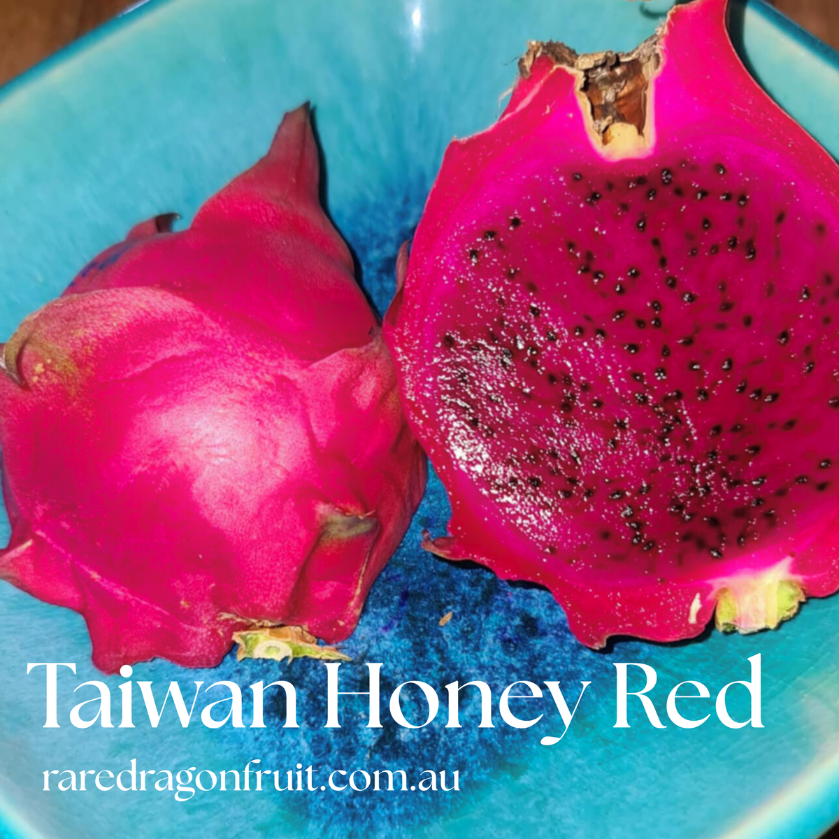 Taiwan Honey Red Dragon Fruit 5.13