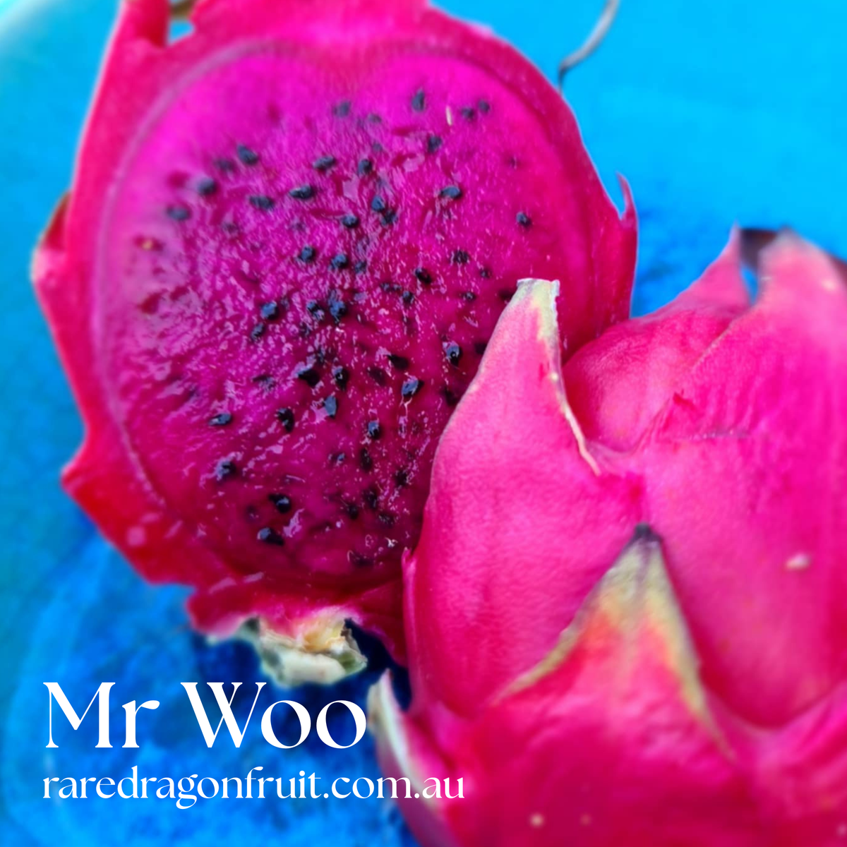 Mr Woo Dragon Fruit