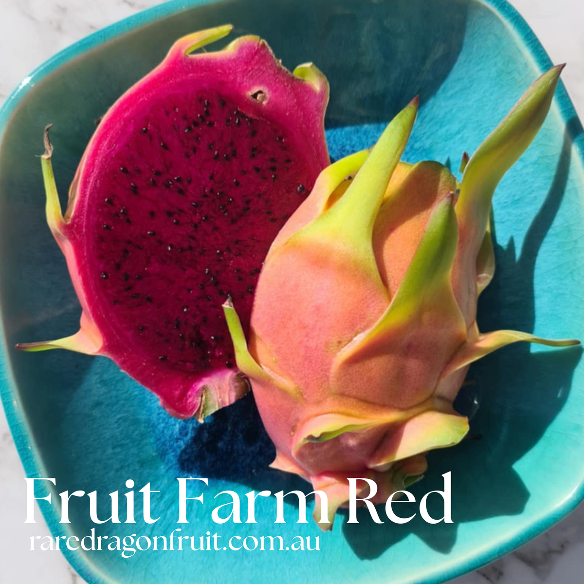 Fruit Farm Red Dragon Fruit XL