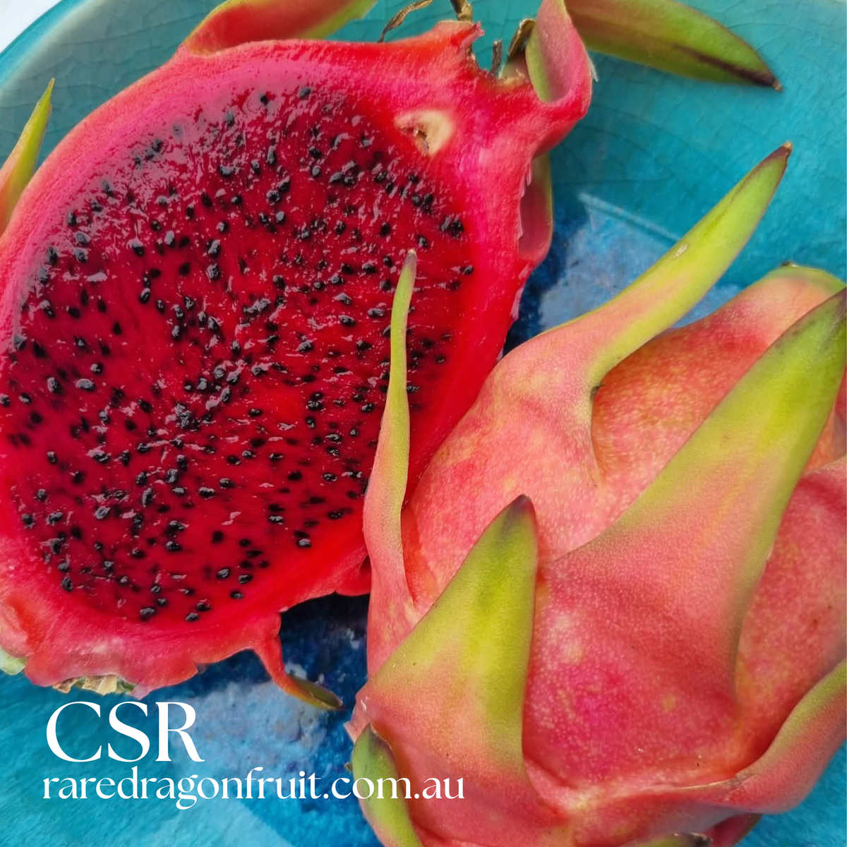 Columbian Supreme Red Dragon Fruit