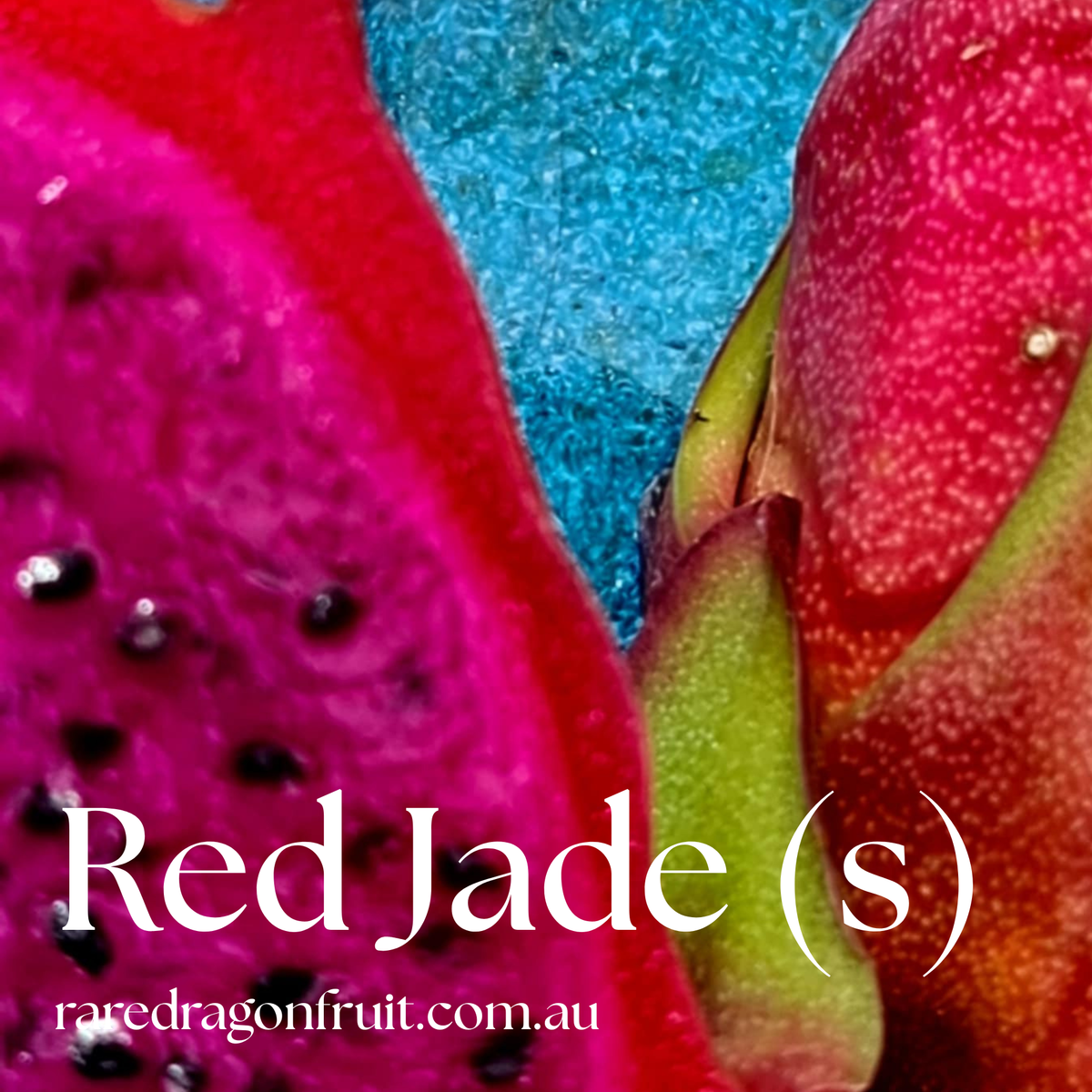 Red Jade Dragon Fruit (s)