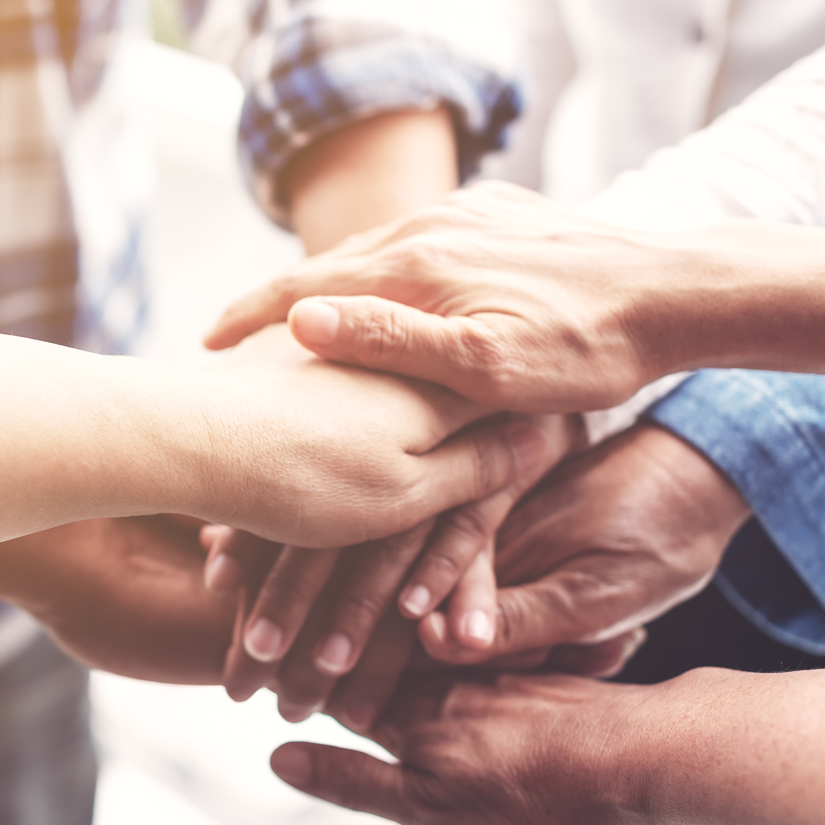 Yandina Community Gardens-