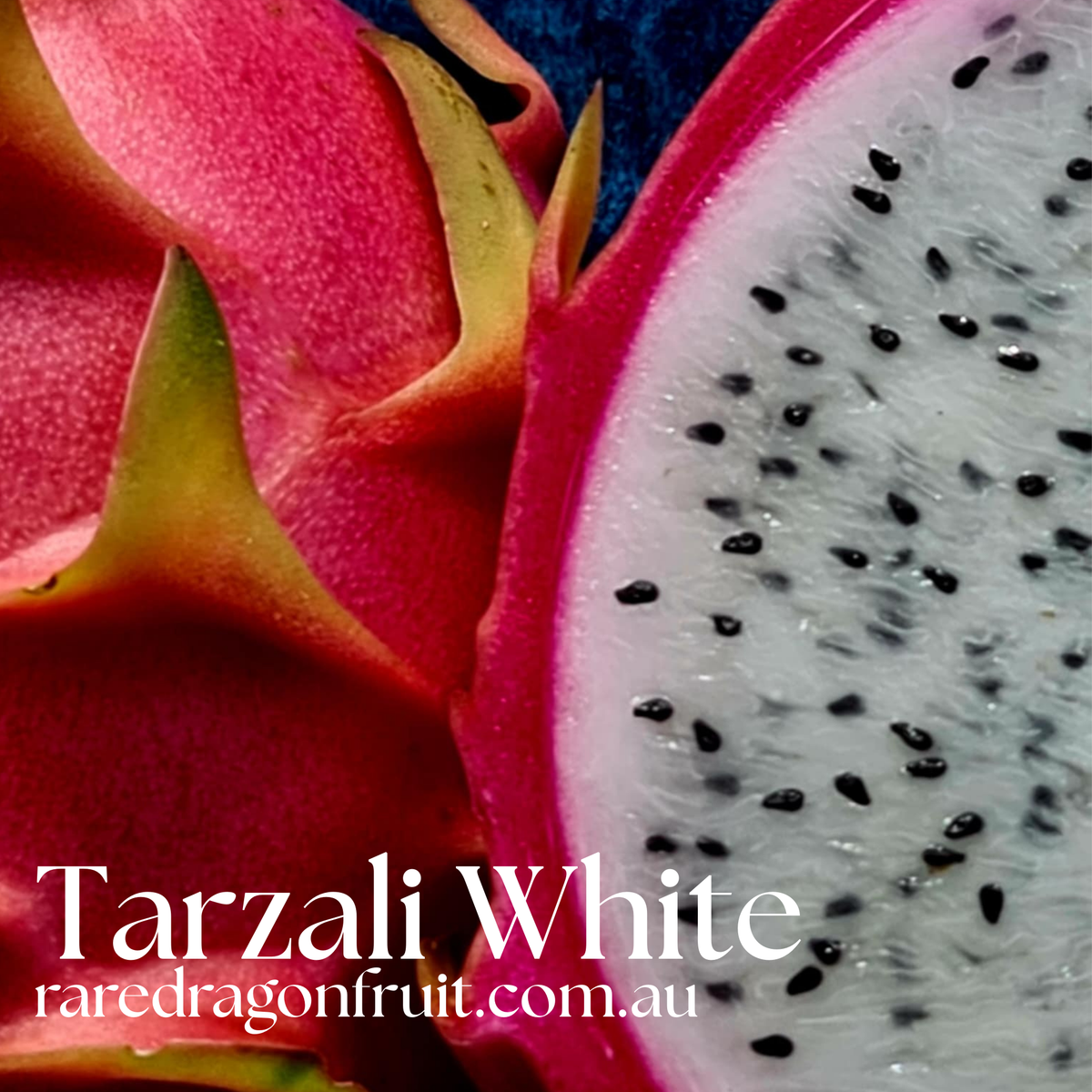 Tarzali White dragon fruit - NOID