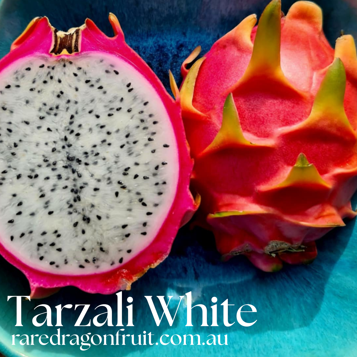 Tarzali White dragon fruit - NOID