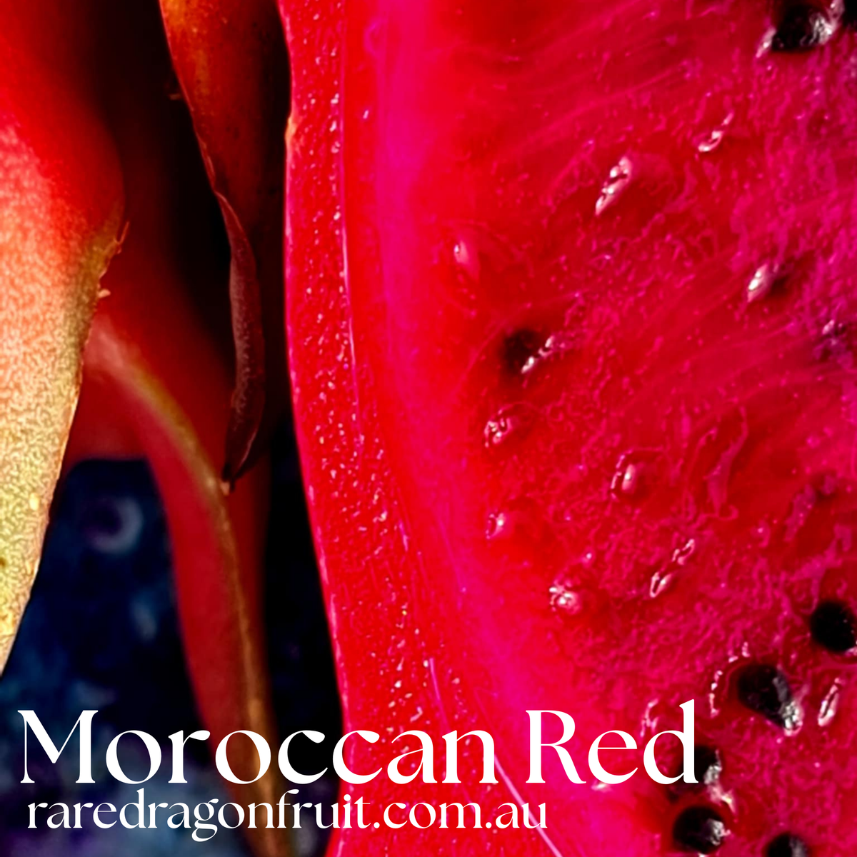 Dawns Supreme Dragon Fruit