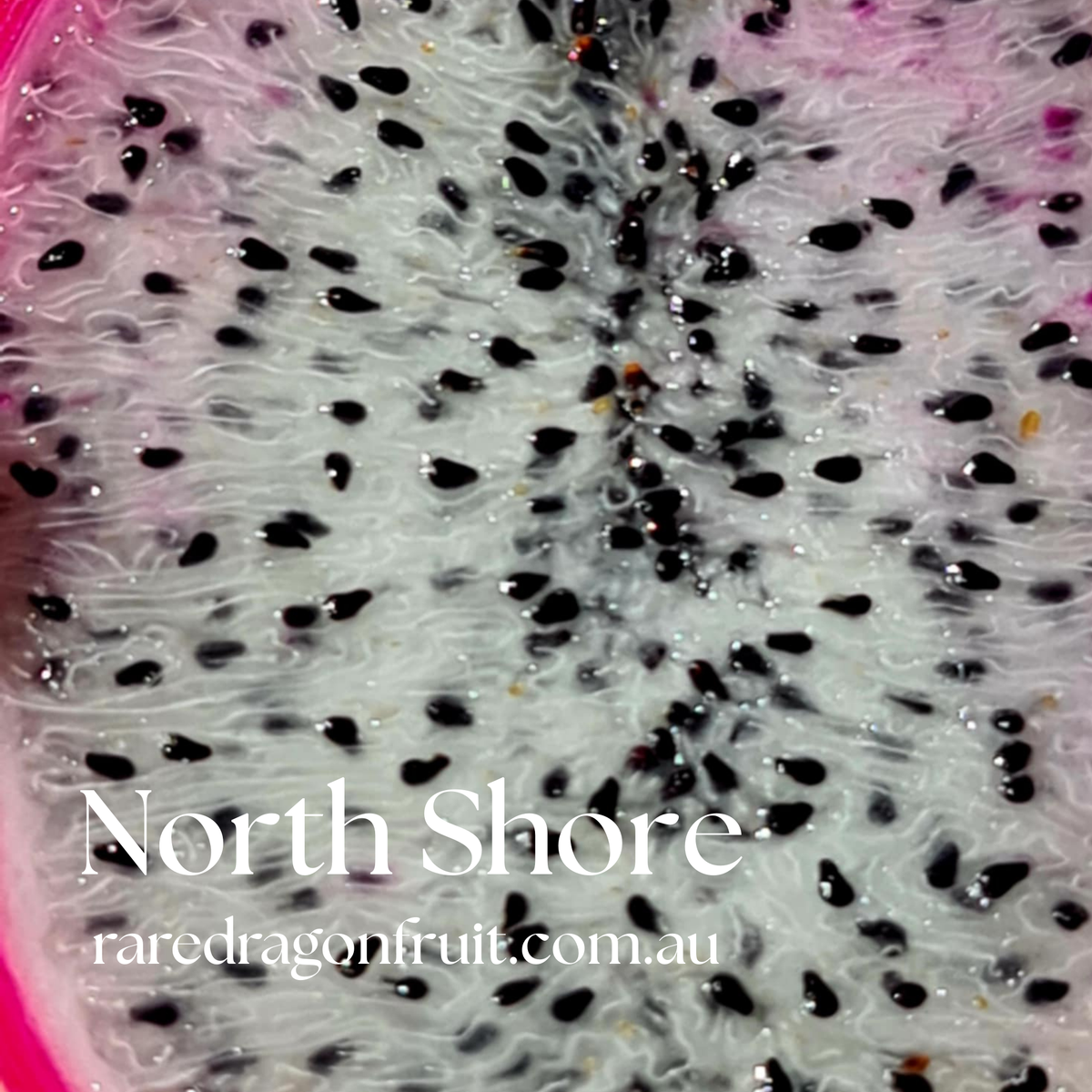 North Shore Noid Dragon Fruit