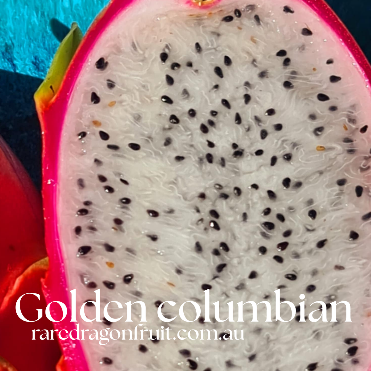 Golden Dragon Fruit NOID