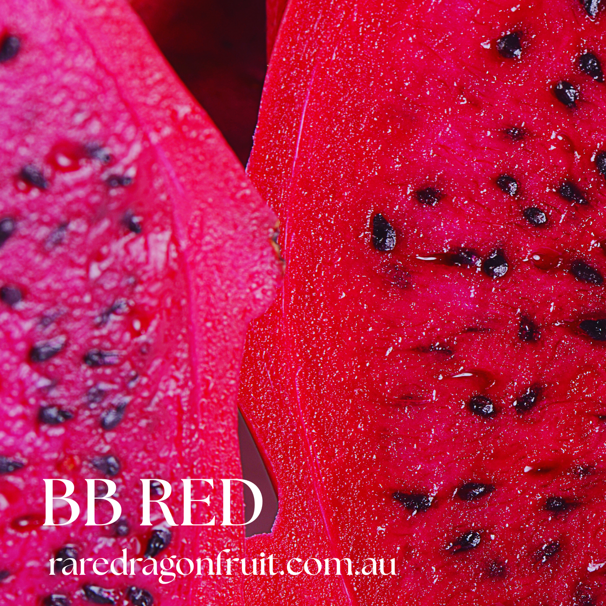 B B RED Dragon fruit